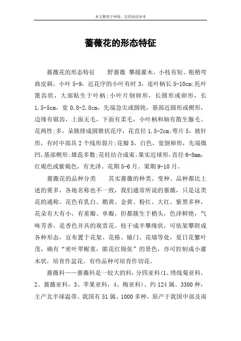 蔷薇花的形态特征