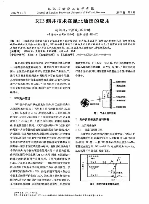 RIB测井技术在昆北油田的应用