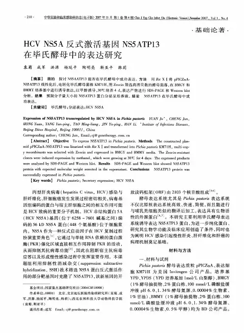 HCV NS5A反式激活基因NS5ATP13在毕氏酵母中的表达研究