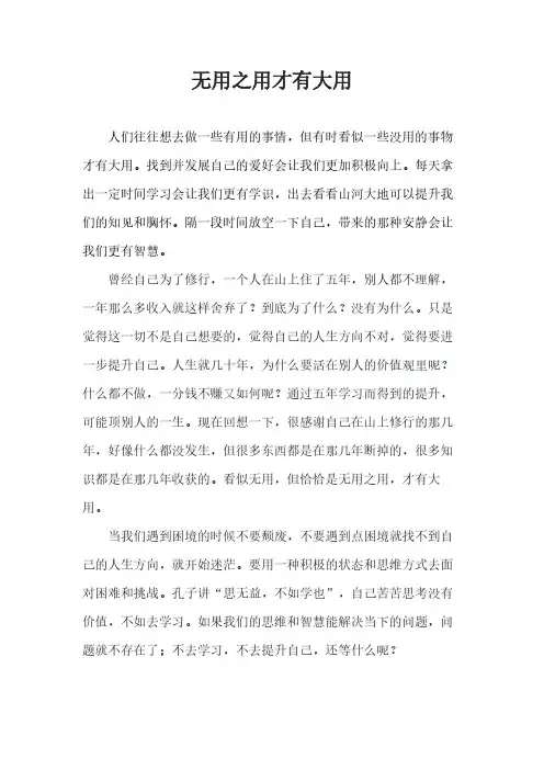 无用之用才有大用