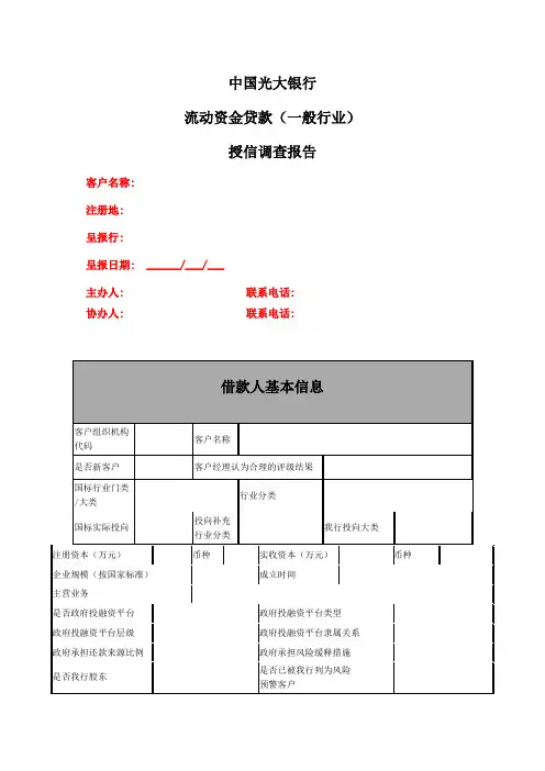 中国光大银行授信调查审查报告-(模版)