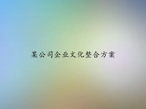 某公司企业文化整合方案