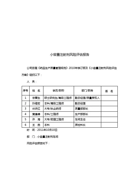 风险评估报告 4