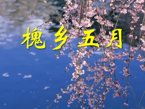 (苏教版) 三年级下册语文《槐乡五月》课件PPT