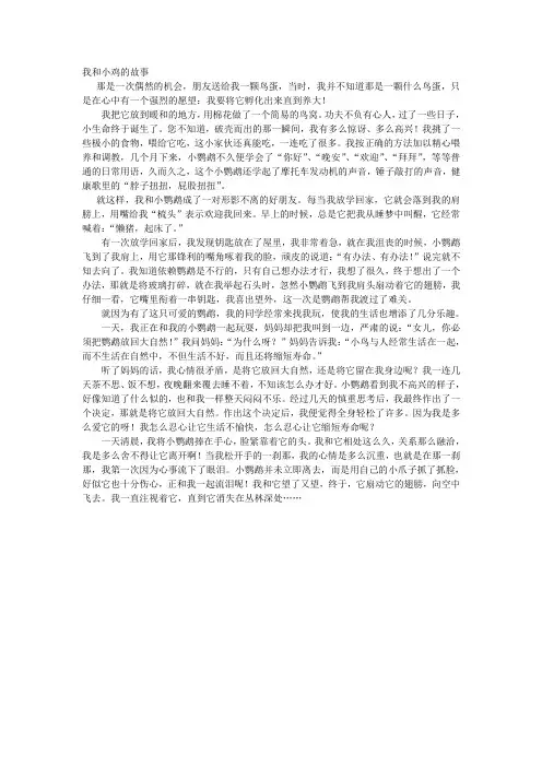我和小鸡的故事