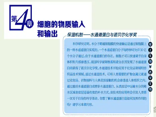 2019_2020学年新教材高中生物第四章第1节第1课时水进出细胞的原理及被动运输课件新人教版必修第一册