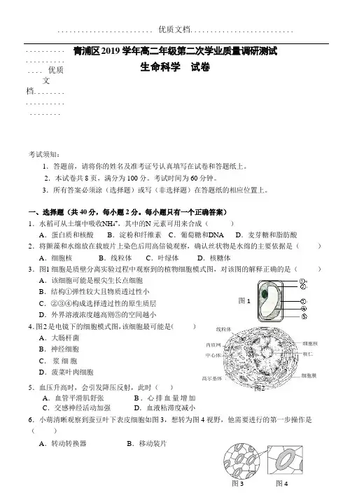 上海市青浦区2020届高三生物二模试卷