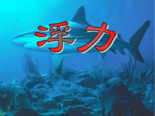 10.1_浮力》ppt课