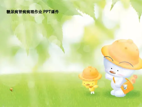 糖尿病肾病病理作业 PPT课件