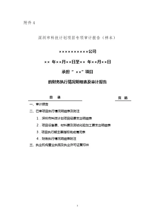 科创委审计报告模板