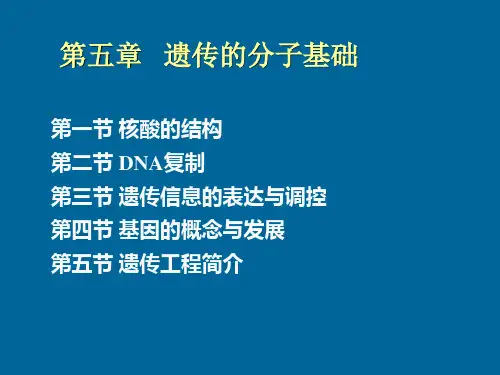遗传的分子基础