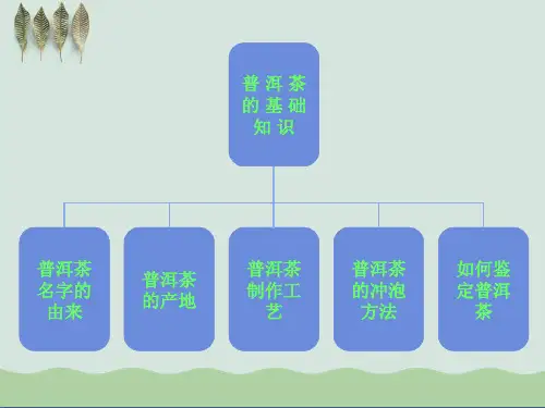 普洱茶基础知识PPT(1)