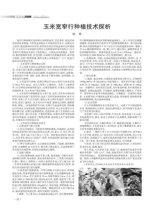 玉米宽窄行种植技术探析