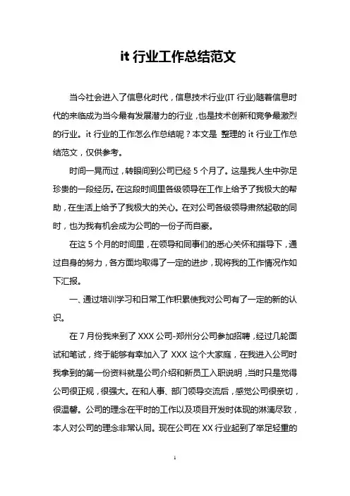 it行业工作总结范文