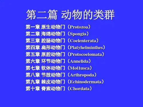 原生动物