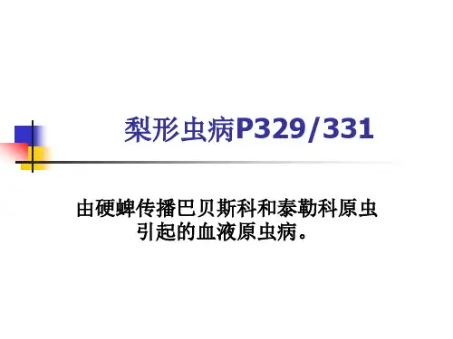 梨形虫病