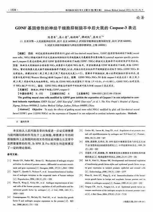 GDNF基因修饰的神经干细胞抑制脑卒中后大鼠的Caspase-3表达