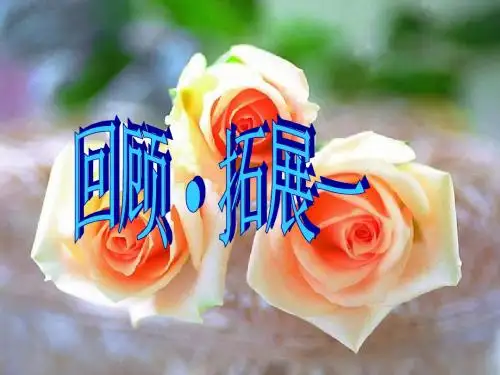 回顾积累趣味语文