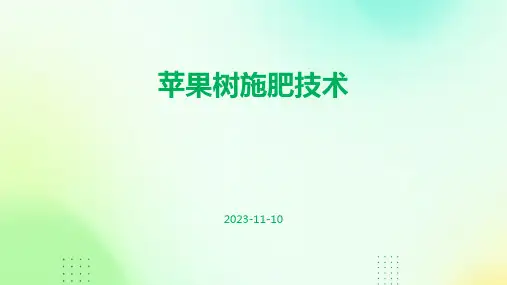 苹果树施肥技术