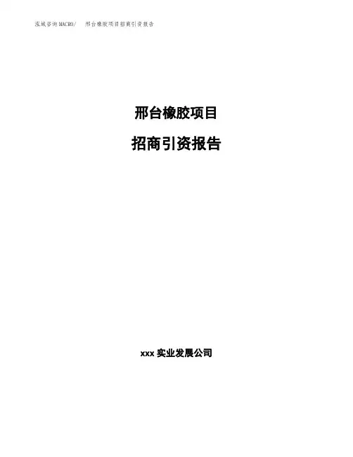 邢台橡胶项目招商引资报告