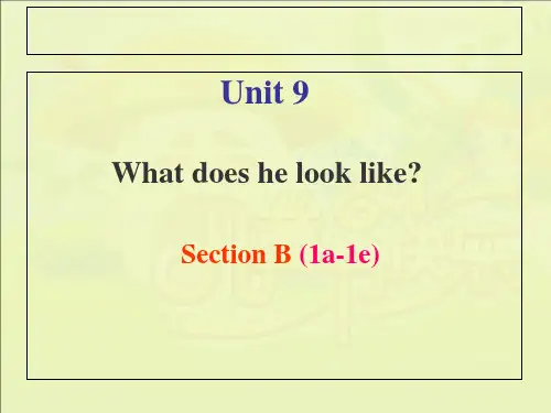 unit-9-what-does-he-look-likeSection-B-1a-1e-