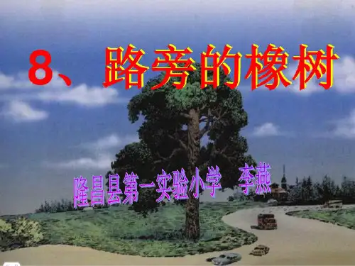 8、路旁的橡树