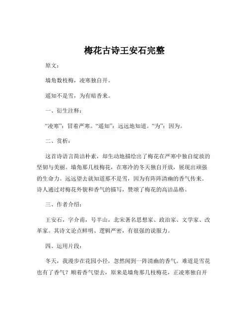 梅花古诗王安石完整