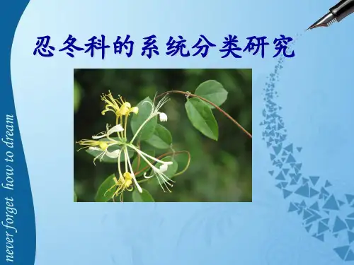 忍冬科的系统分类研究