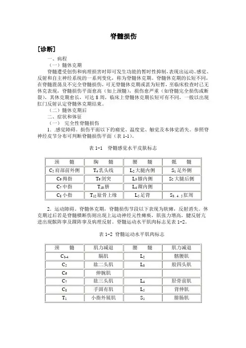 脊髓损伤 4