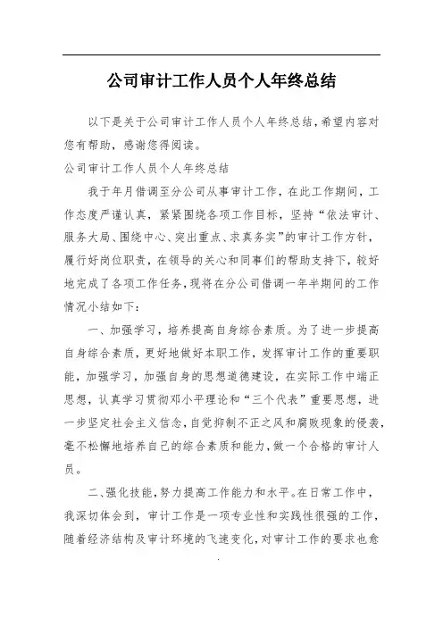 公司审计工作人员个人年终总结