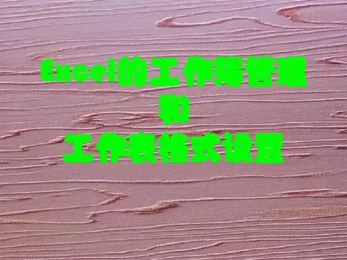 Excel的工作簿管理和工作表格式设置.ppt
