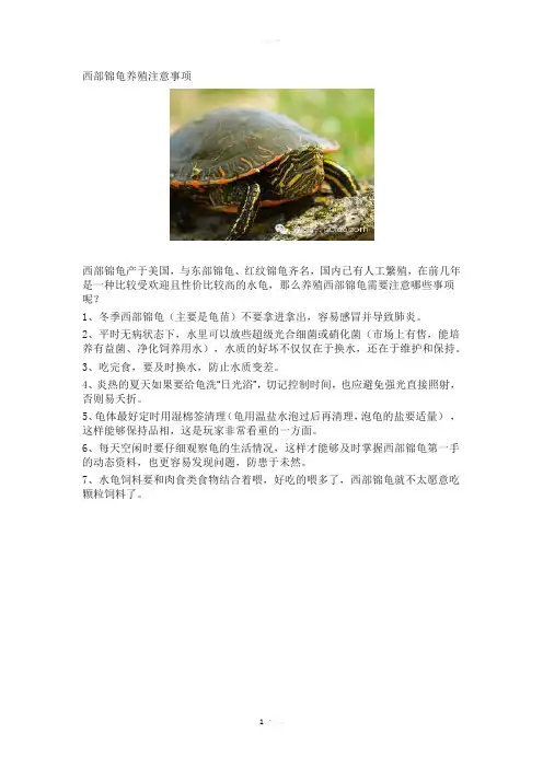 西部锦龟养殖注意事项
