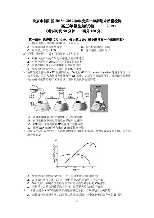 朝阳区2019届高三第一学期期末生物试题及答案(官方版)
