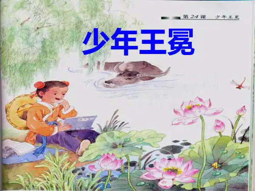苏教五上24《少年王冕》ppt共41页PPT资料