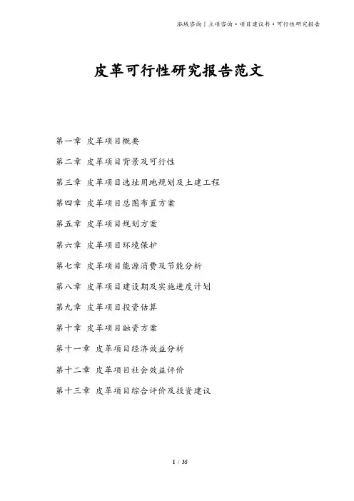 皮革可行性研究报告范文