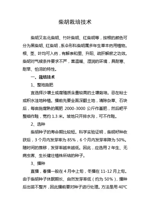 柴胡栽培技术