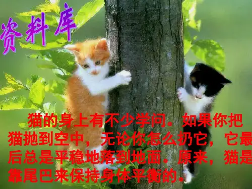 人教版四年级语文上册《猫》课件