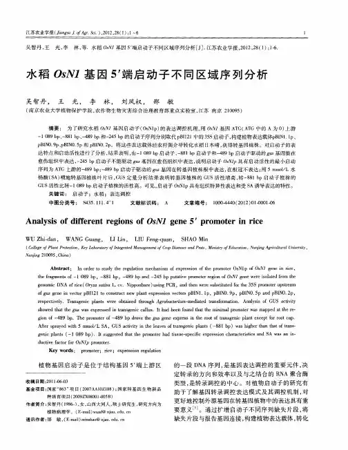 水稻OsN1基因5'端启动子不同区域序列分析