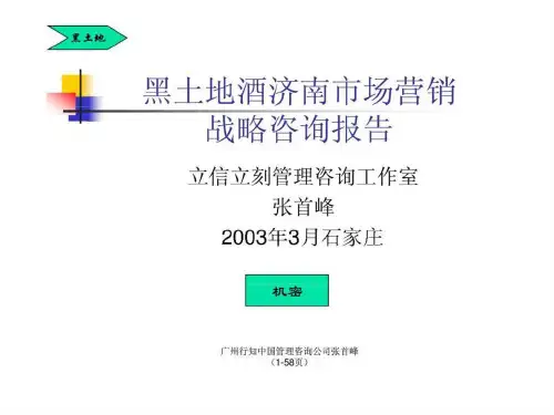 黑土地酒济南市场营销战略咨询报告