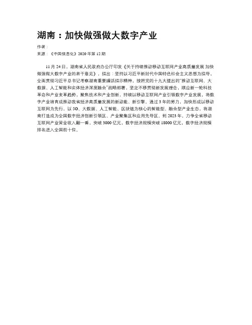 湖南：加快做强做大数字产业