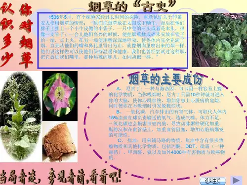 上海公共场所控制吸烟条例