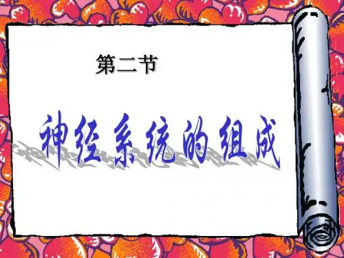 2012年生物复习专题七年级《神经系统的组成》课件