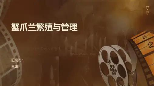 蟹爪兰繁殖与管理
