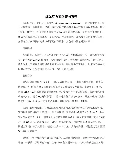 红绿灯鱼的饲养与繁殖