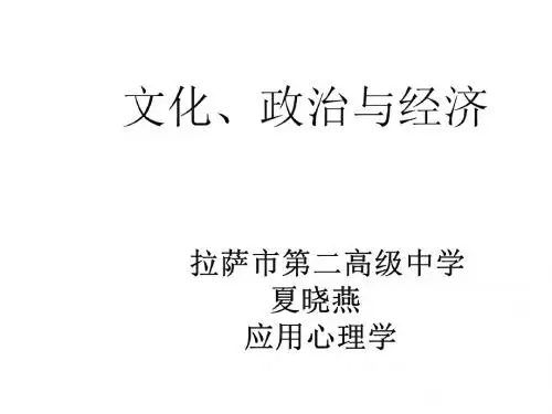 文化、政治与经济