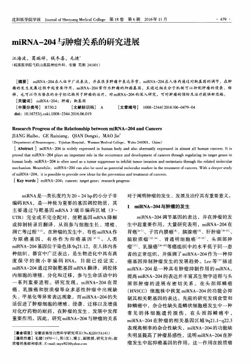 miRNA-204与肿瘤关系的研究进展