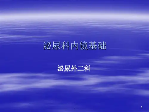 泌尿科内镜基础ppt课件