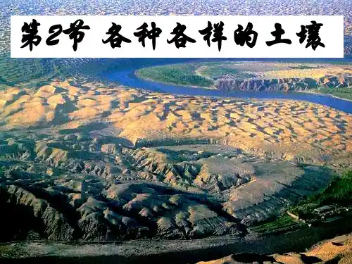 浙教版八年级下册科学《第4章 植物与土壤 第2节 各种各样的土壤》