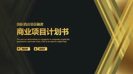 国际酒店项目高端商业计划书PPT模板