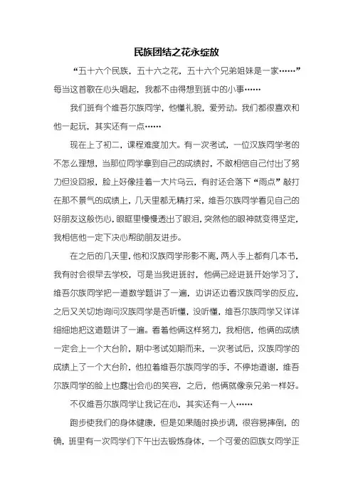 初二作文：民族团结之花永绽放作文800字